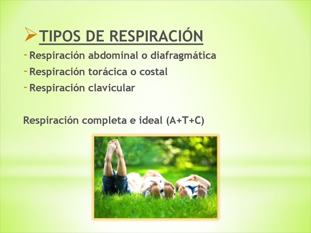 TIPOS DE RESPIRACIÓN Respiración abdominal o diafragmática