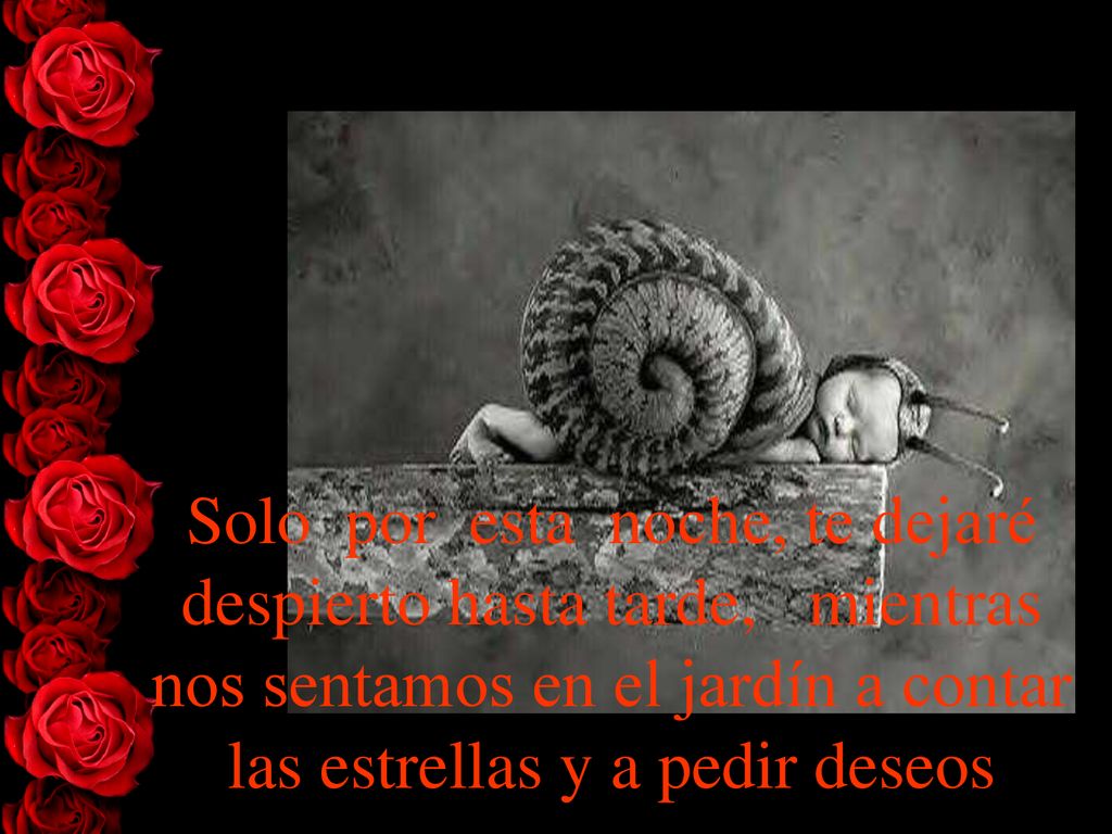 Solo por esta noche, te dejaré despierto hasta tarde, mientras nos sentamos en el jardín a contar las estrellas y a pedir deseos
