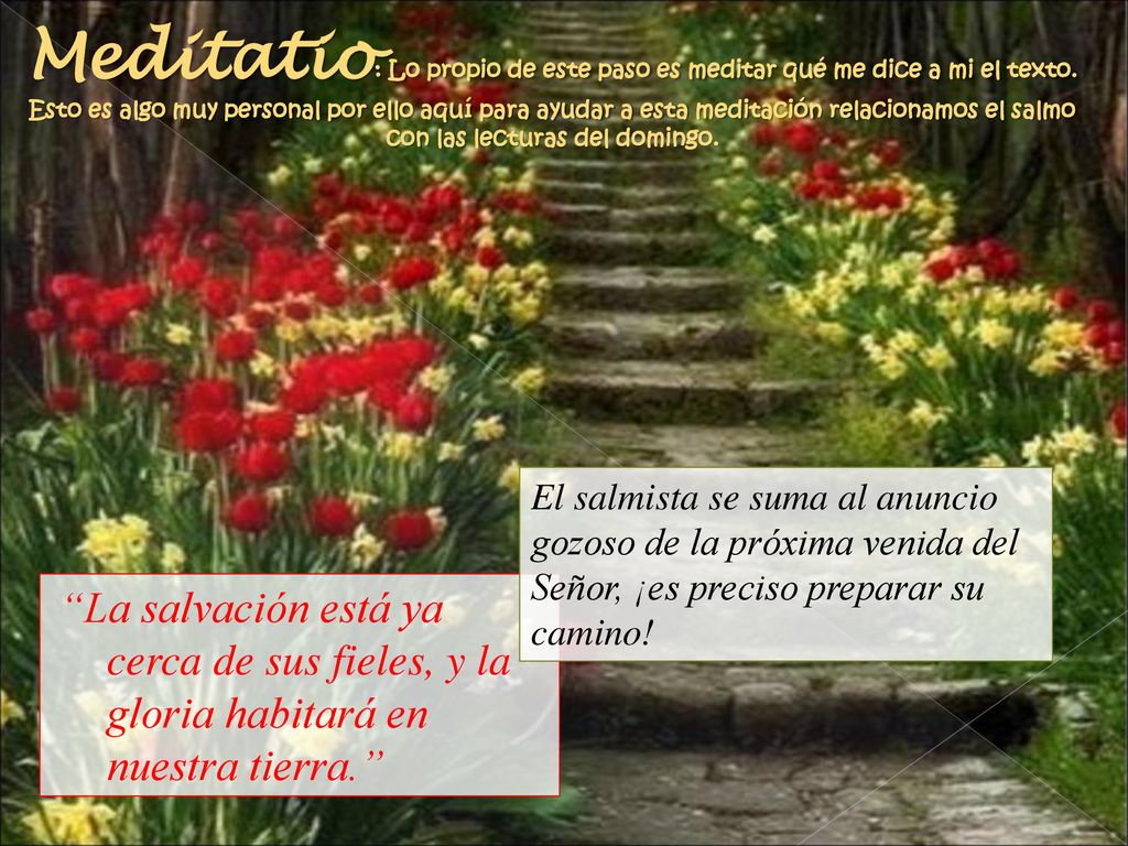 Meditatio: Lo propio de este paso es meditar qué me dice a mi el texto