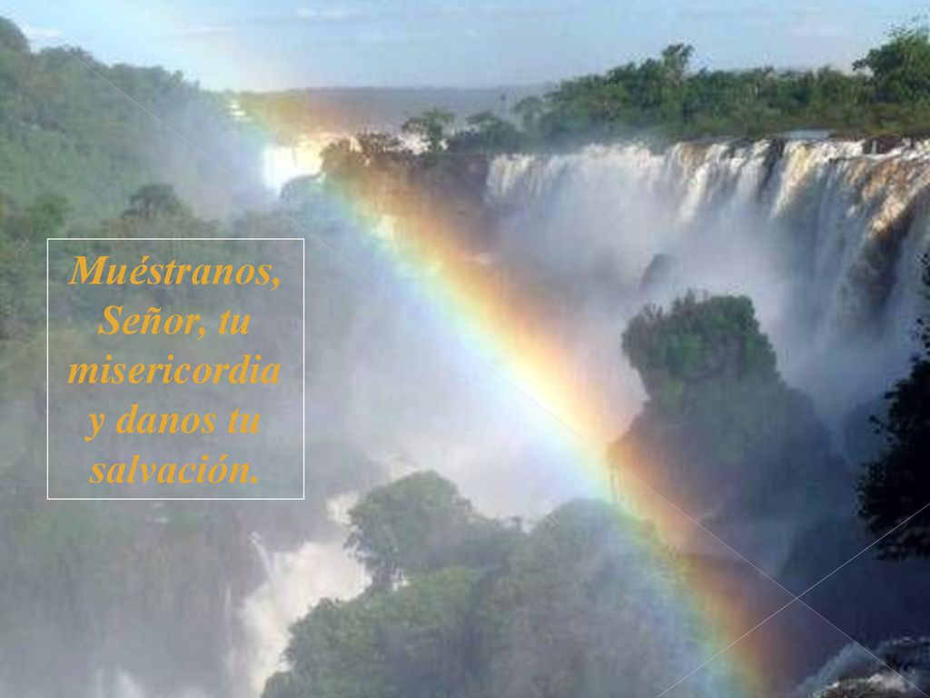 Muéstranos, Señor, tu misericordia y danos tu salvación.