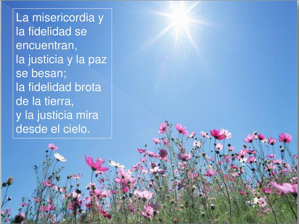 La misericordia y la fidelidad se encuentran, la justicia y la paz se besan; la fidelidad brota de la tierra, y la justicia mira desde el cielo.