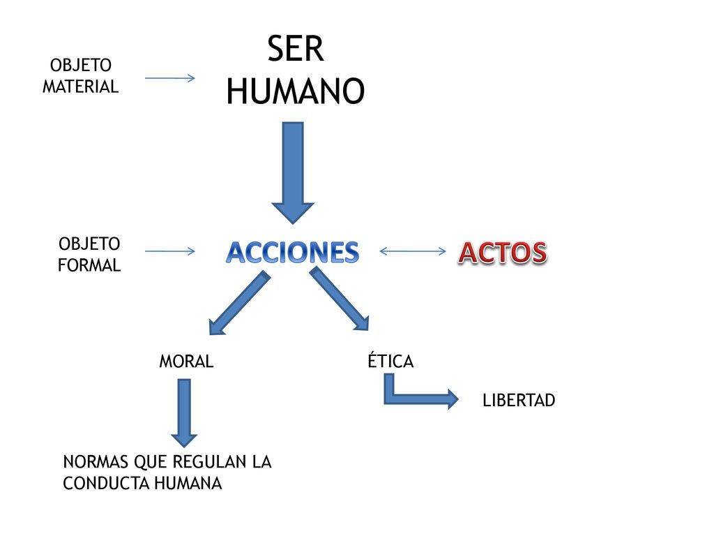 SER HUMANO ACCIONES ACTOS OBJETO MATERIAL OBJETO FORMAL MORAL ÉTICA