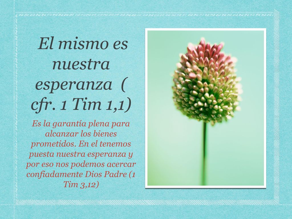 El mismo es nuestra esperanza ( cfr. 1 Tim 1,1)
