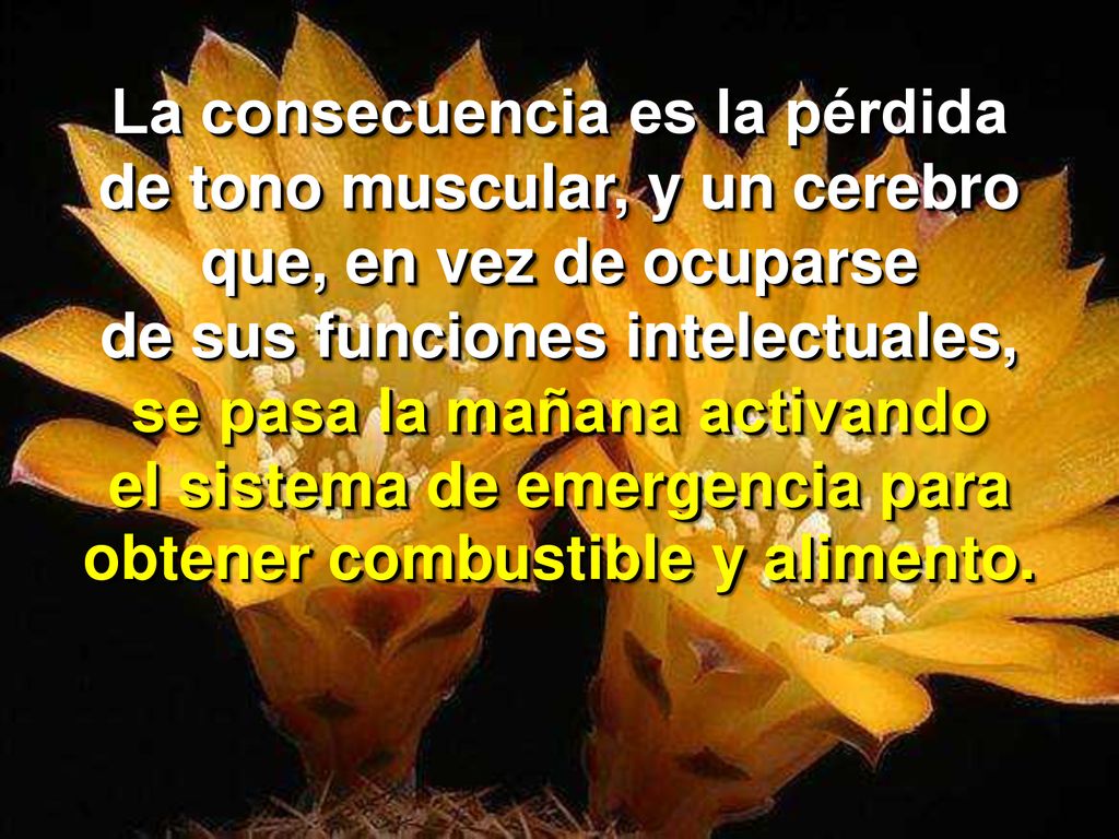 La consecuencia es la pérdida de tono muscular, y un cerebro