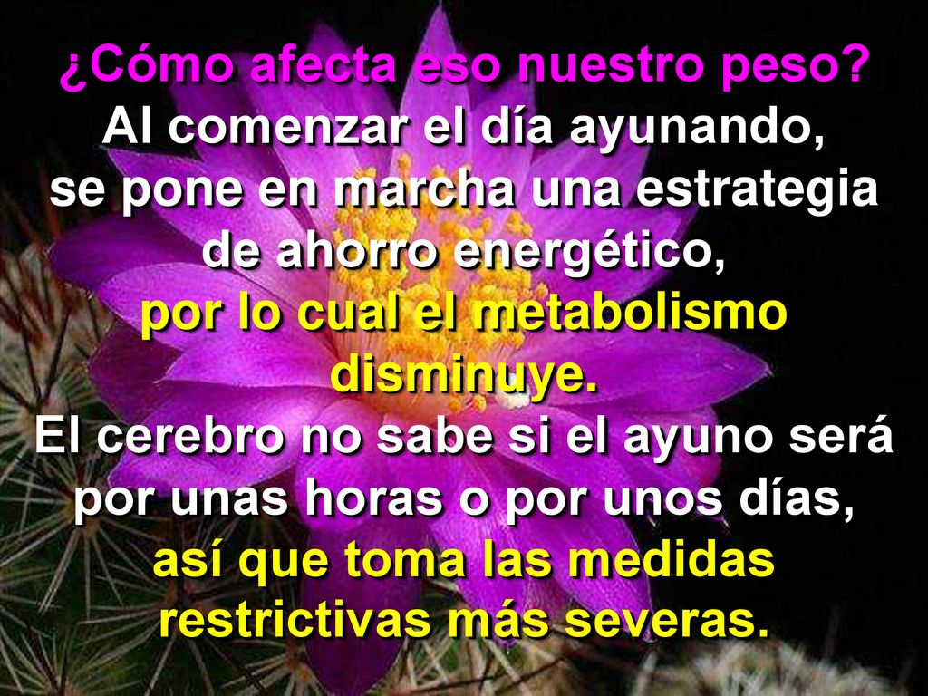 ¿Cómo afecta eso nuestro peso Al comenzar el día ayunando,