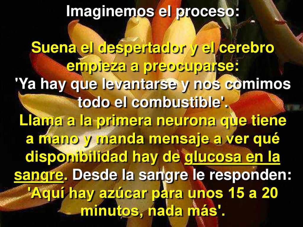 Imaginemos el proceso: Suena el despertador y el cerebro empieza a preocuparse: