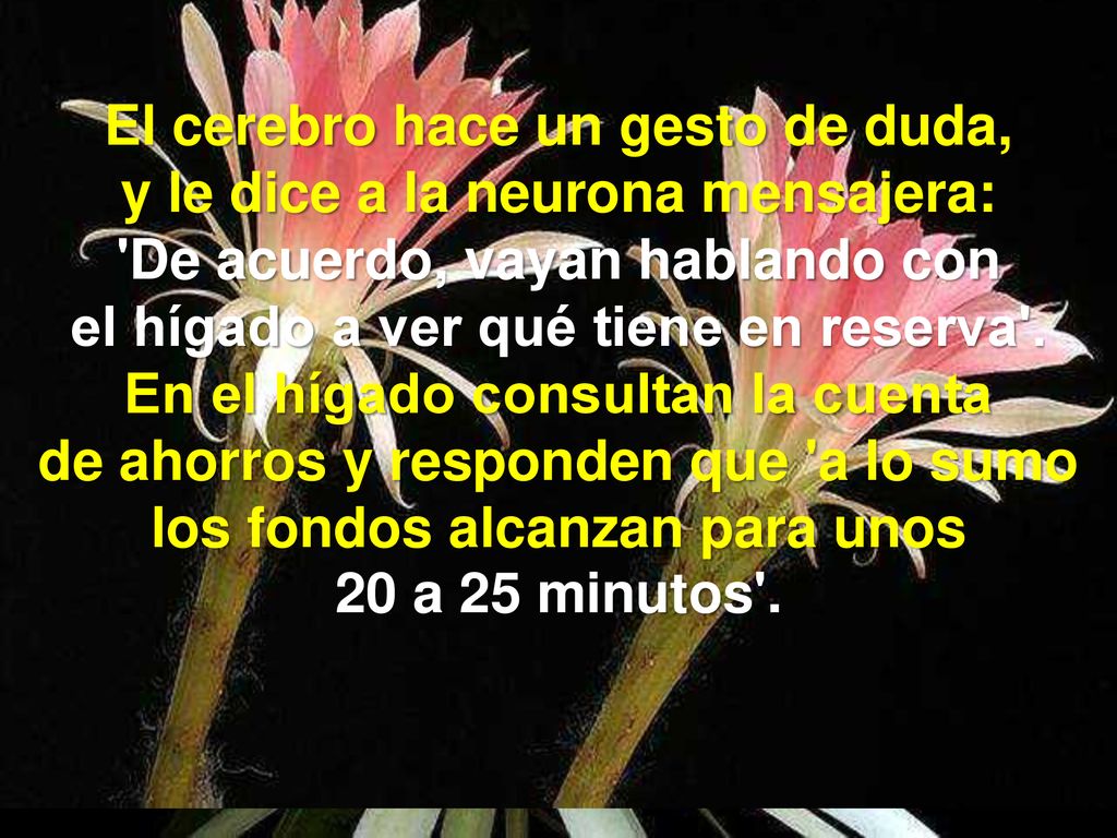 El cerebro hace un gesto de duda, y le dice a la neurona mensajera: