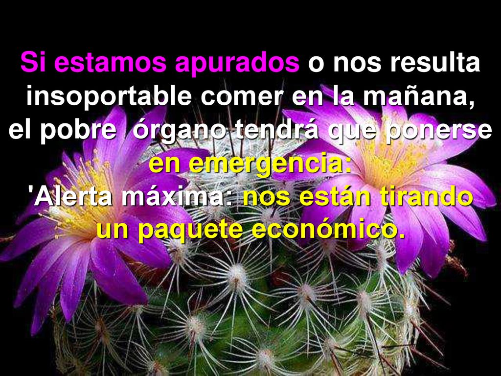 Si estamos apurados o nos resulta insoportable comer en la mañana,
