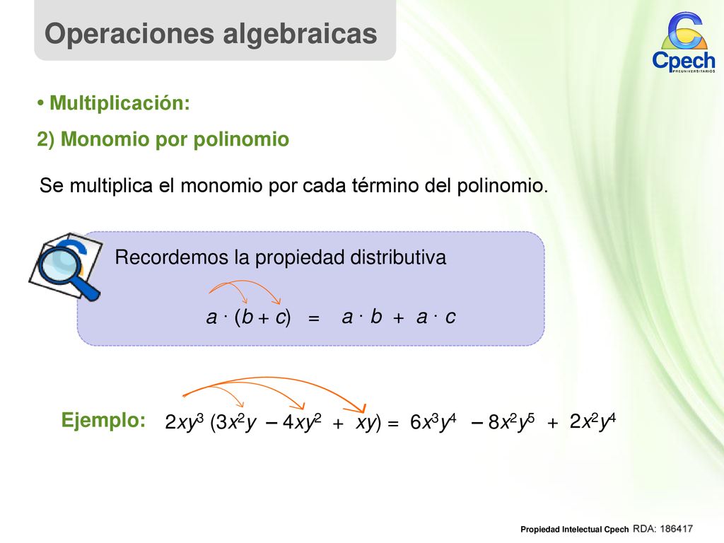 Se multiplica el monomio por cada término del polinomio.