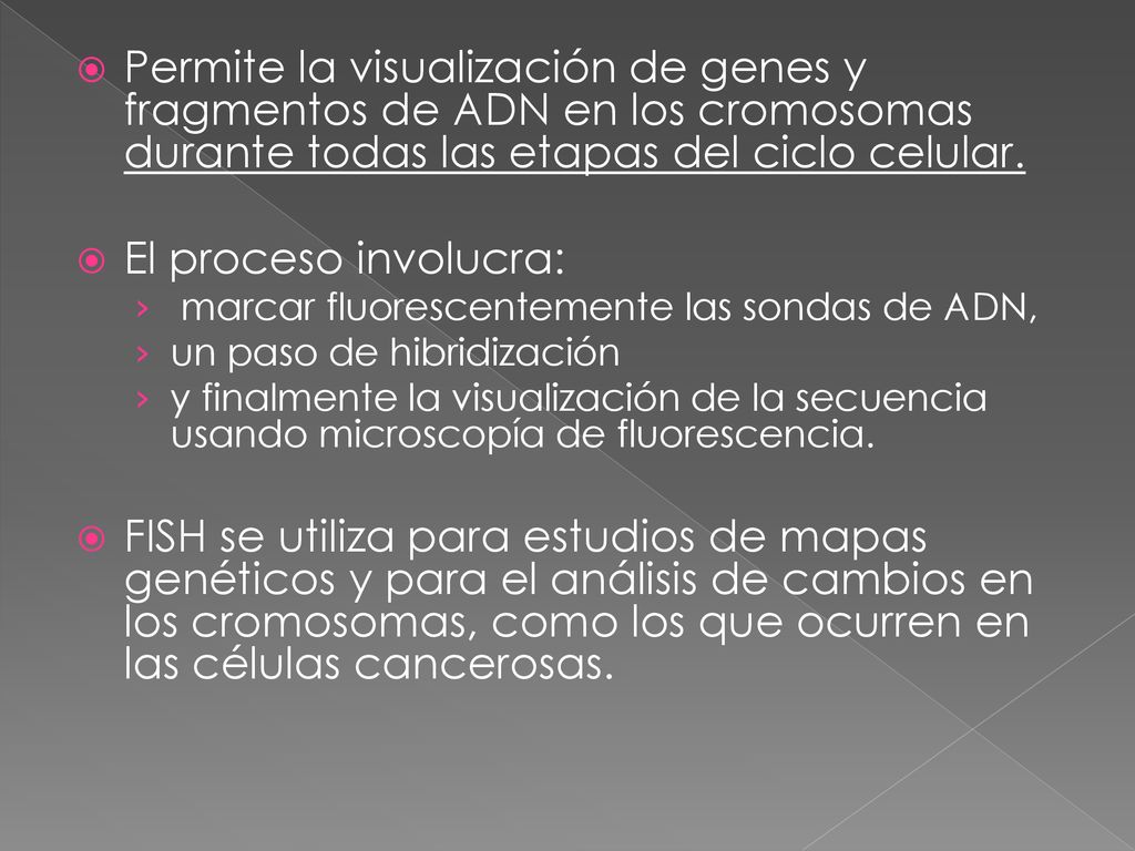 Permite la visualización de genes y fragmentos de ADN en los cromosomas durante todas las etapas del ciclo celular.