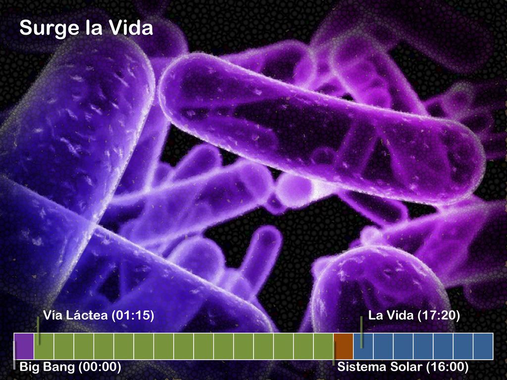 Surge la Vida Vía Láctea (01:15) La Vida (17:20) Big Bang (00:00)
