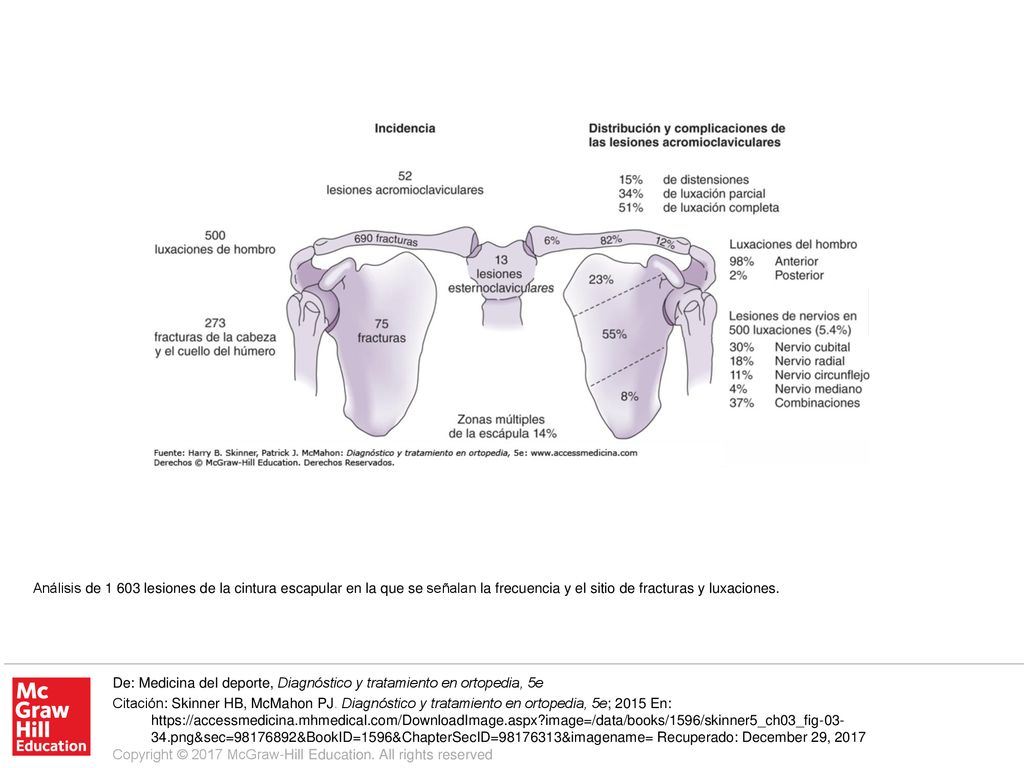 Análisis de lesiones de la cintura escapular en la que se señalan la frecuencia y el sitio de fracturas y luxaciones.