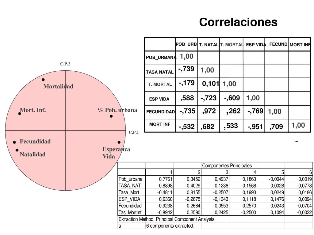 1,00 Correlaciones. -,739. -,179. 0,101. ,588. -,723. -,609. -,735. ,972. ,262. -,769. -,532.