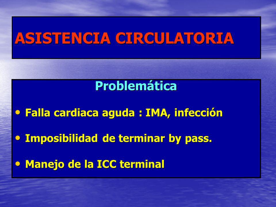 ASISTENCIA CIRCULATORIA