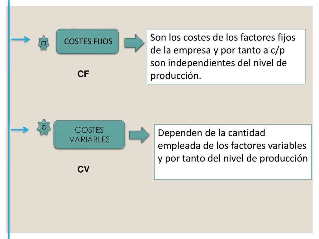COSTES FIJOS Son los costes de los factores fijos de la empresa y por tanto a c/p son independientes del nivel de producción.