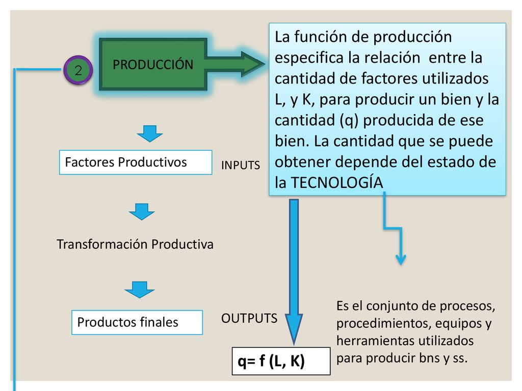 La función de producción especifica la relación entre la cantidad de factores utilizados L, y K, para producir un bien y la cantidad (q) producida de ese bien. La cantidad que se puede obtener depende del estado de la TECNOLOGÍA