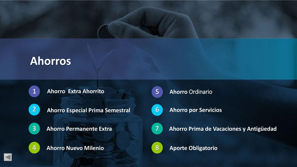 Ahorros Ahorro Extra Ahorrito Ahorro Ordinario