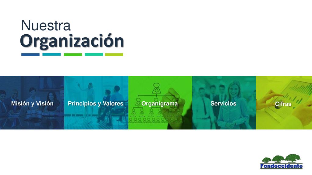 Organización Nuestra Misión y Visión Principios y Valores Organigrama