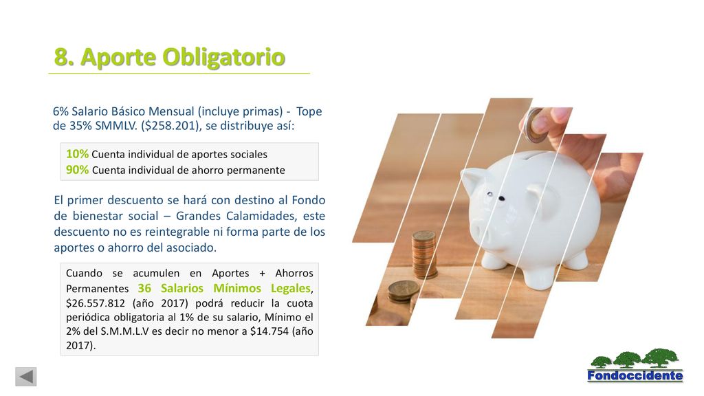 8. Aporte Obligatorio 6% Salario Básico Mensual (incluye primas) - Tope de 35% SMMLV. ($ ), se distribuye así: