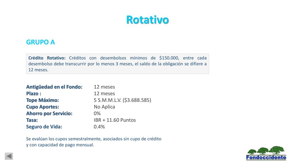 Rotativo GRUPO A Antigüedad en el Fondo: 12 meses Plazo : 12 meses