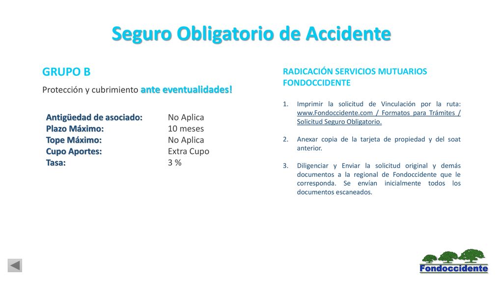 Seguro Obligatorio de Accidente