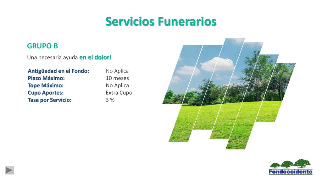 Servicios Funerarios GRUPO B Una necesaria ayuda en el dolor!