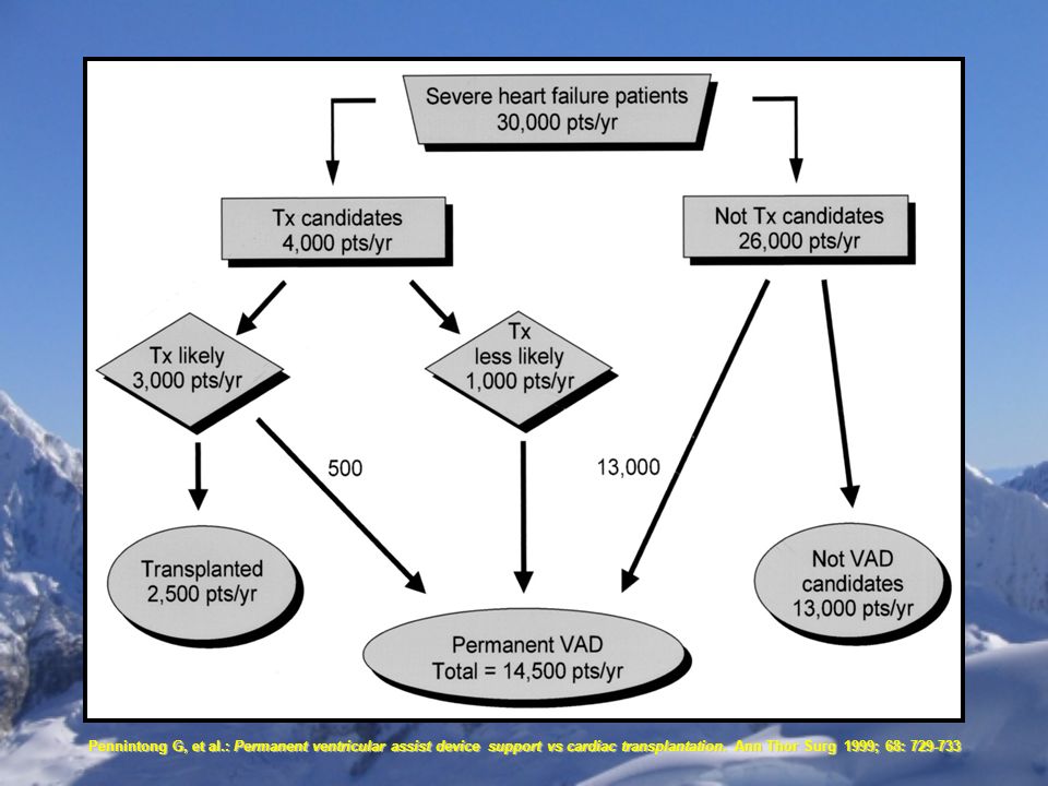 Pennintong G, et al.: Permanent ventricular assist device support vs cardiac transplantation.