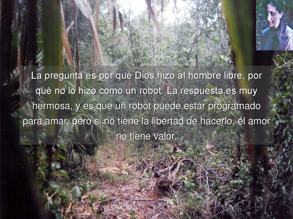 La pregunta es por qué Dios hizo al hombre libre, por qué no lo hizo como un robot.