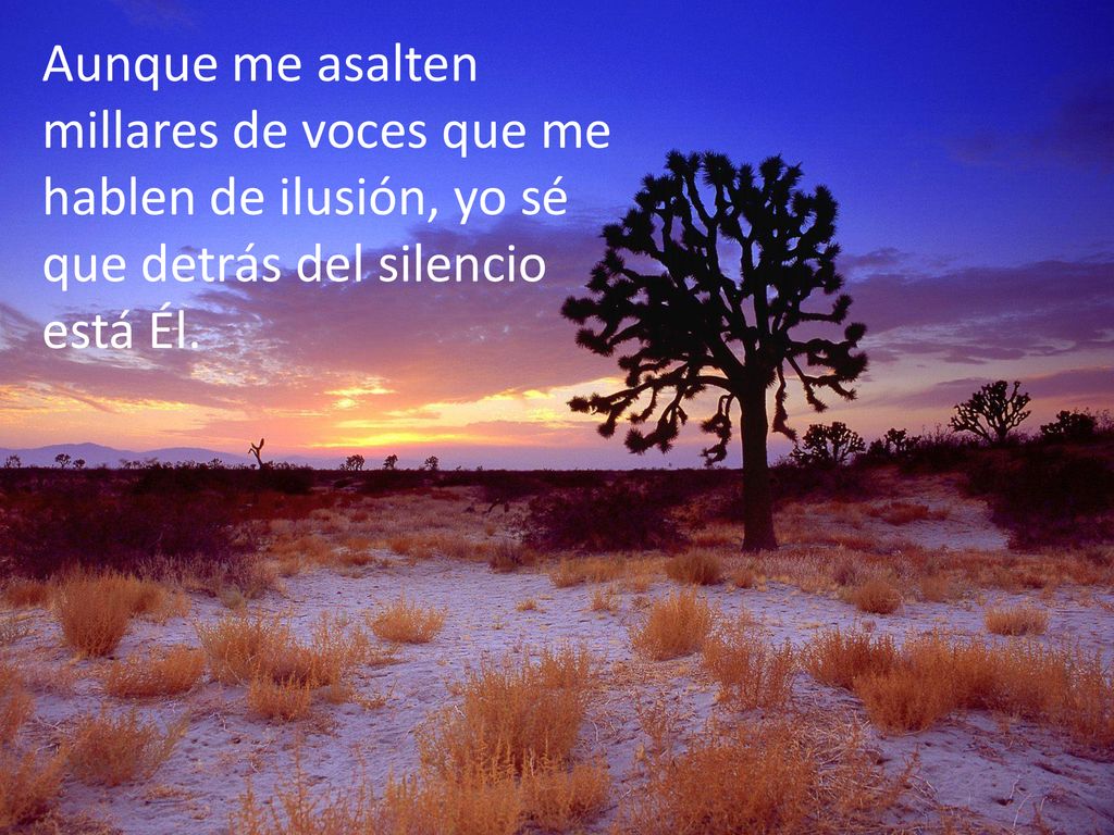 Aunque me asalten millares de voces que me hablen de ilusión, yo sé que detrás del silencio está Él.