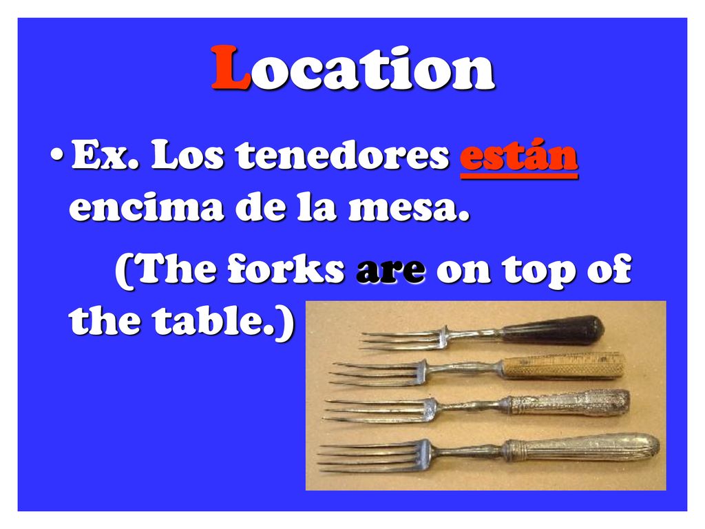 Location Ex. Los tenedores están encima de la mesa.