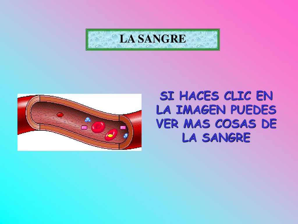 SI HACES CLIC EN LA IMAGEN PUEDES VER MAS COSAS DE LA SANGRE