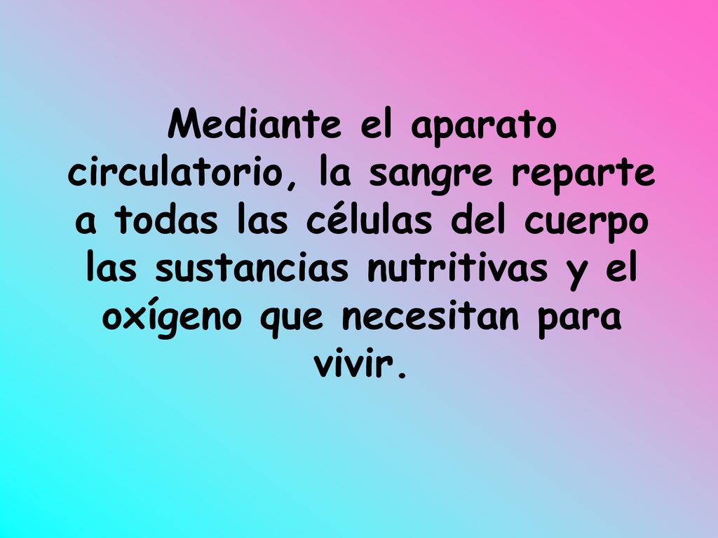 Mediante el aparato circulatorio, la sangre reparte a todas las células del cuerpo las sustancias nutritivas y el oxígeno que necesitan para vivir.