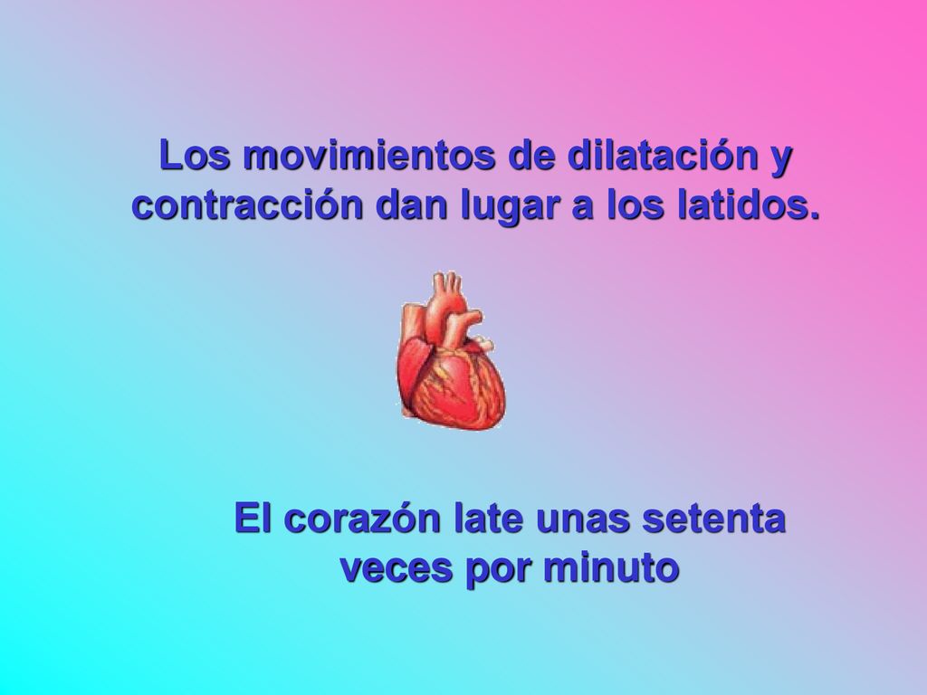 Los movimientos de dilatación y contracción dan lugar a los latidos.