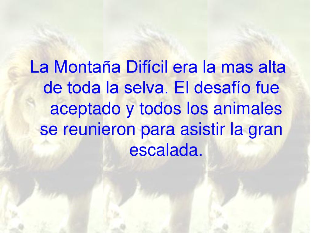 La Montaña Difícil era la mas alta de toda la selva