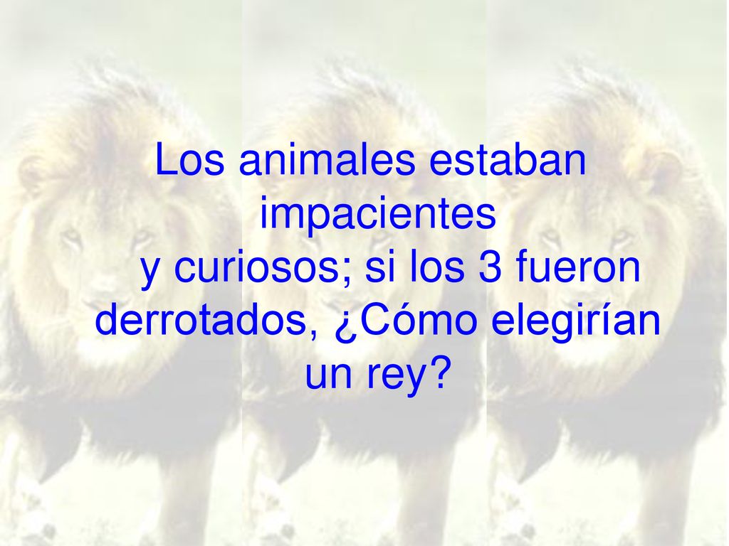Los animales estaban impacientes y curiosos; si los 3 fueron derrotados, ¿Cómo elegirían un rey