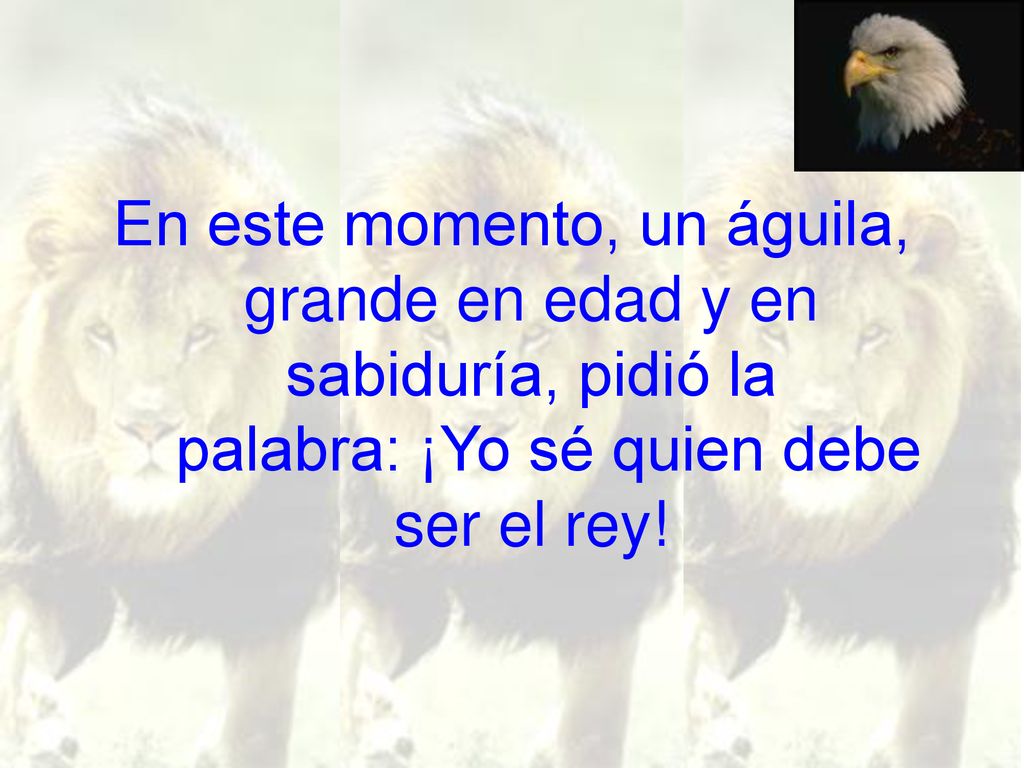 En este momento, un águila, grande en edad y en sabiduría, pidió la palabra: ¡Yo sé quien debe ser el rey!