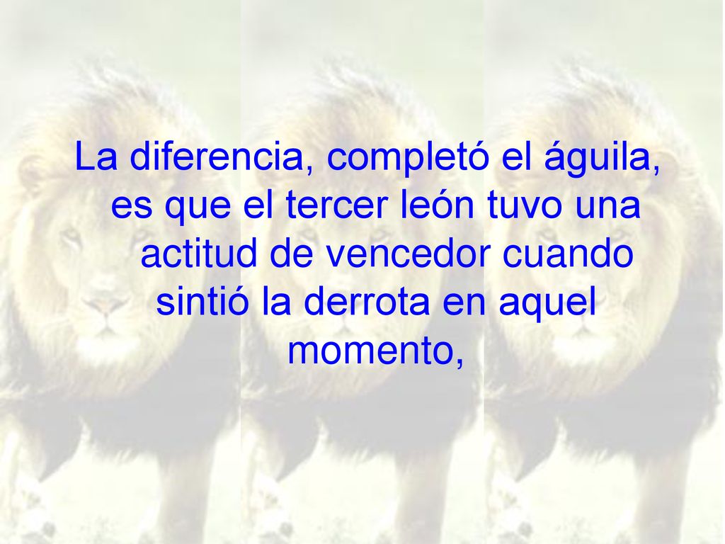 La diferencia, completó el águila, es que el tercer león tuvo una actitud de vencedor cuando sintió la derrota en aquel momento,