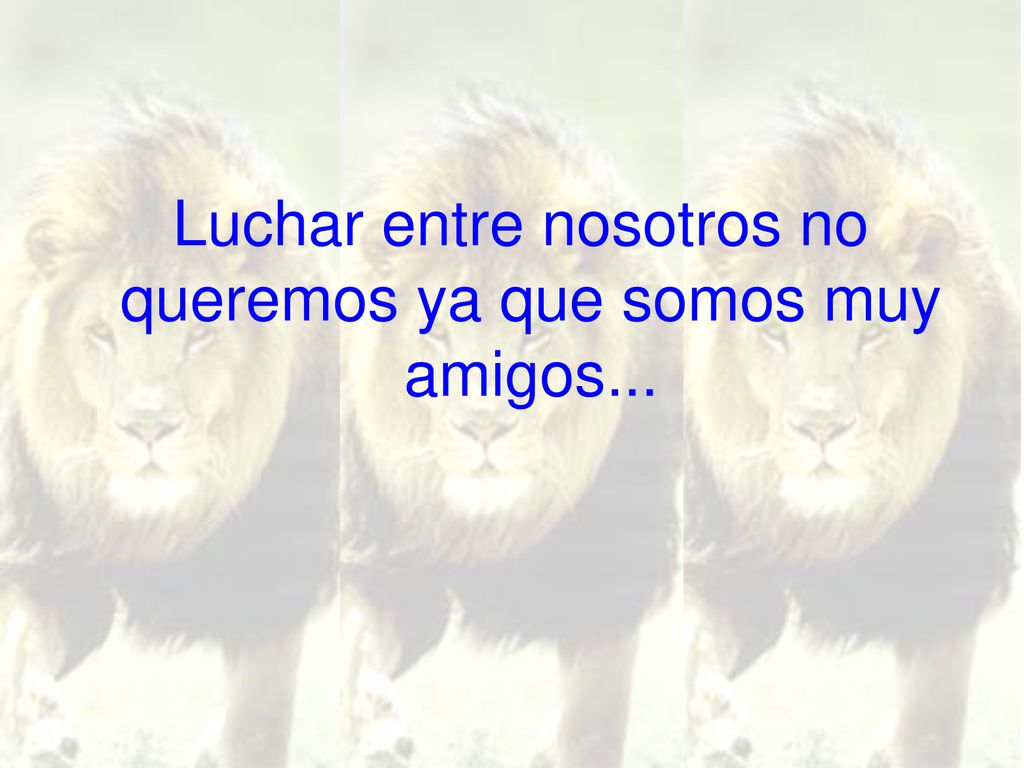 Luchar entre nosotros no queremos ya que somos muy amigos...