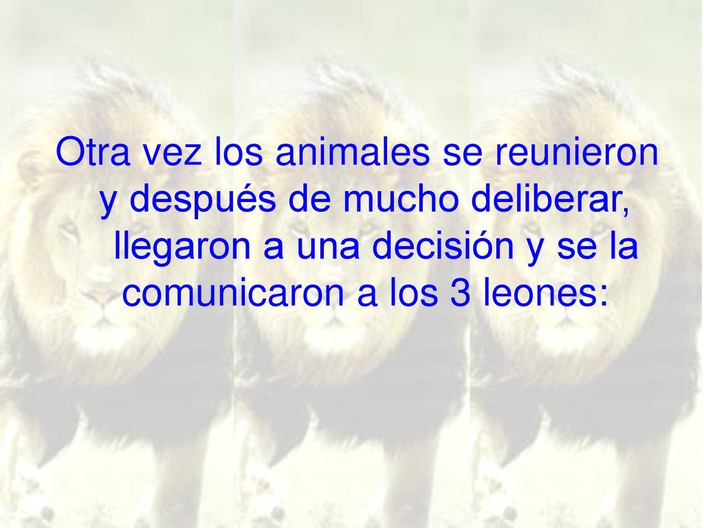 Otra vez los animales se reunieron y después de mucho deliberar, llegaron a una decisión y se la comunicaron a los 3 leones: