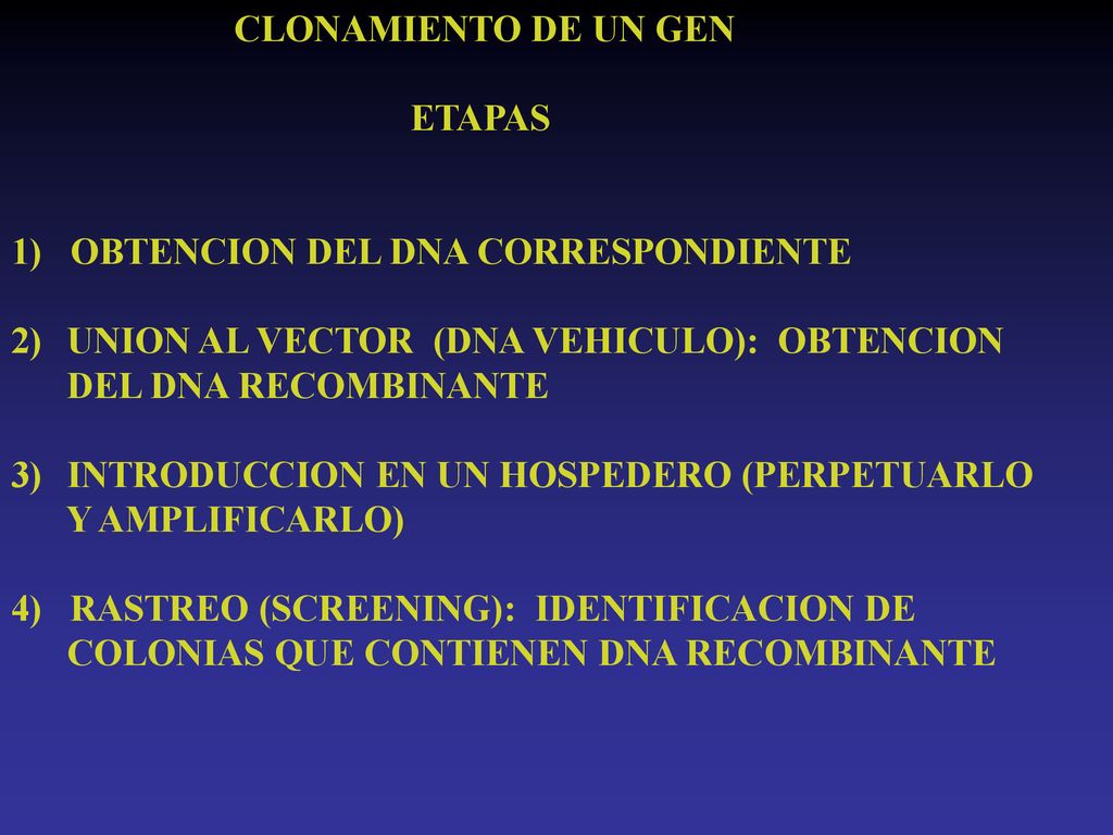 CLONAMIENTO DE UN GEN ETAPAS. 1) OBTENCION DEL DNA CORRESPONDIENTE. UNION AL VECTOR (DNA VEHICULO): OBTENCION.