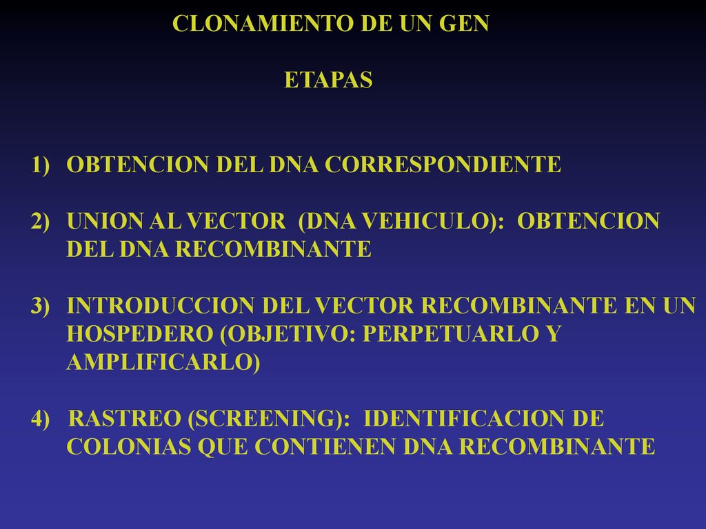 CLONAMIENTO DE UN GEN ETAPAS. OBTENCION DEL DNA CORRESPONDIENTE. UNION AL VECTOR (DNA VEHICULO): OBTENCION.