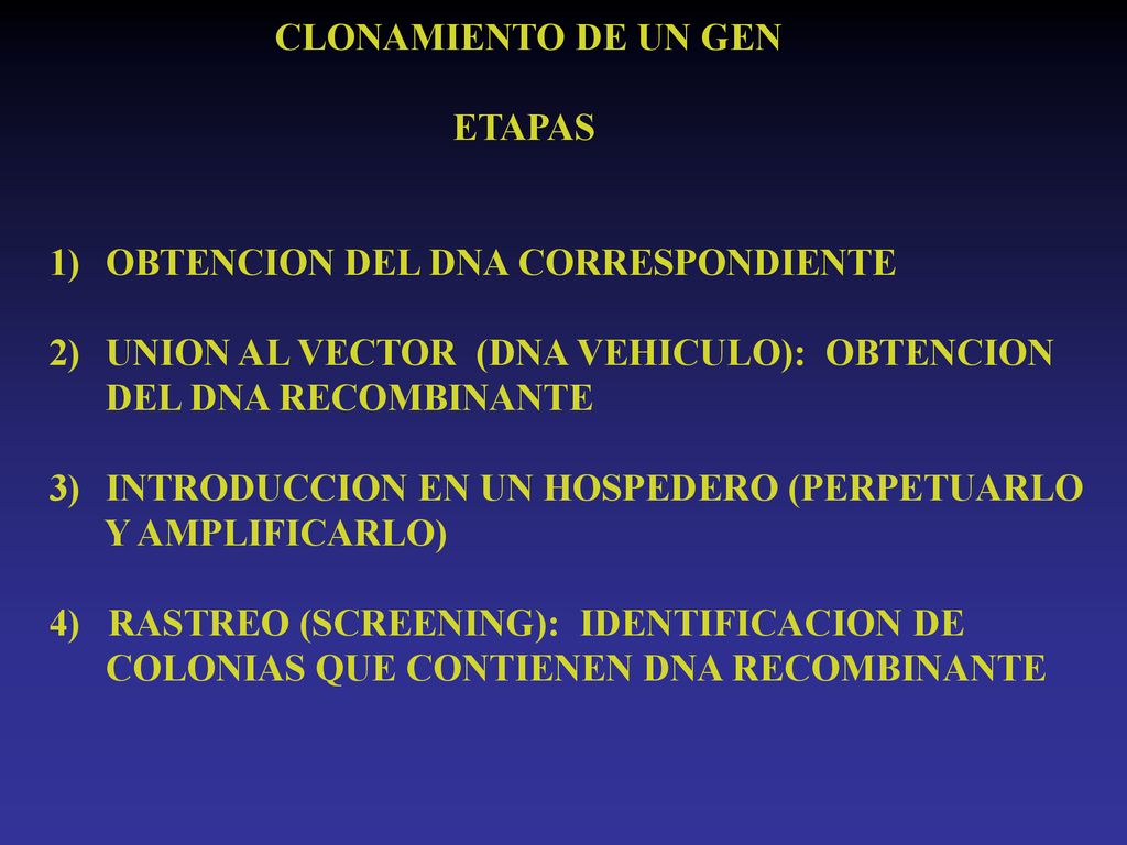 CLONAMIENTO DE UN GEN ETAPAS. OBTENCION DEL DNA CORRESPONDIENTE. UNION AL VECTOR (DNA VEHICULO): OBTENCION.