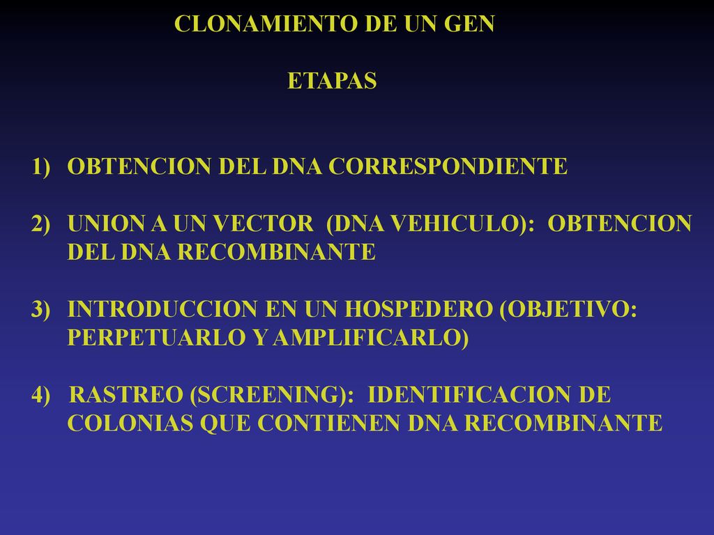 CLONAMIENTO DE UN GEN ETAPAS. OBTENCION DEL DNA CORRESPONDIENTE. UNION A UN VECTOR (DNA VEHICULO): OBTENCION.