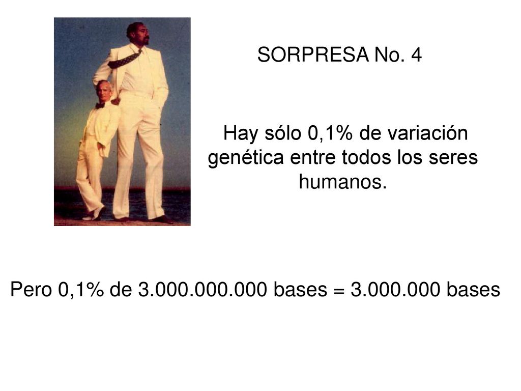 Hay sólo 0,1% de variación genética entre todos los seres humanos.