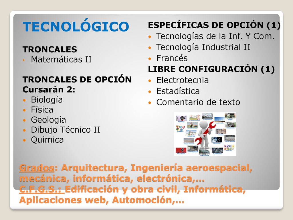 TECNOLÓGICO TRONCALES. Matemáticas II. TRONCALES DE OPCIÓN. Cursarán 2: Biología Física. Geología.