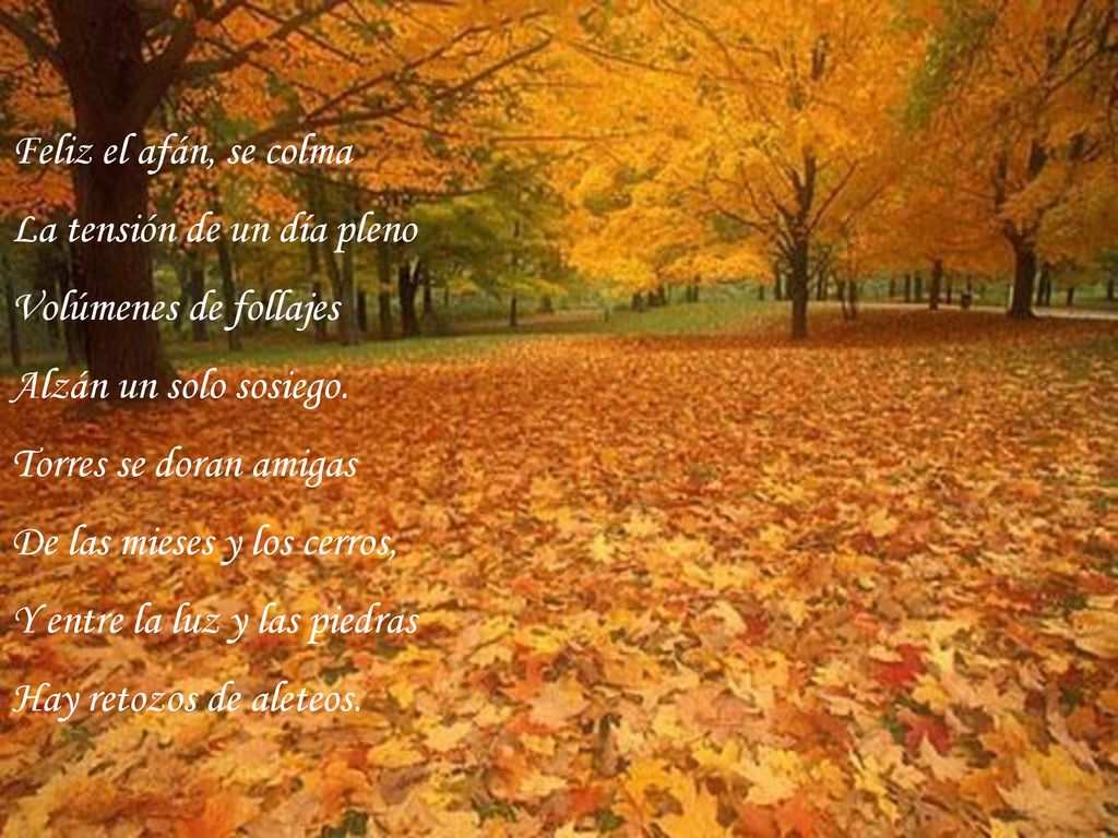 Feliz el afán, se colma La tensión de un día pleno. Volúmenes de follajes. Alzán un solo sosiego.