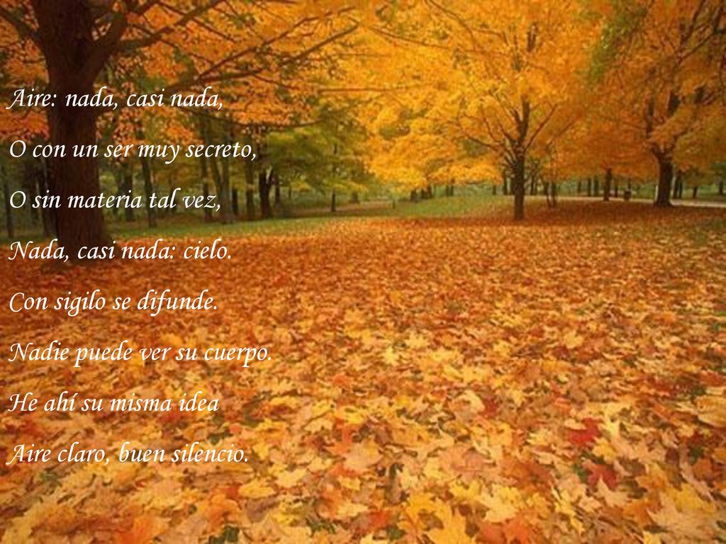 Aire: nada, casi nada, O con un ser muy secreto, O sin materia tal vez, Nada, casi nada: cielo. Con sigilo se difunde.