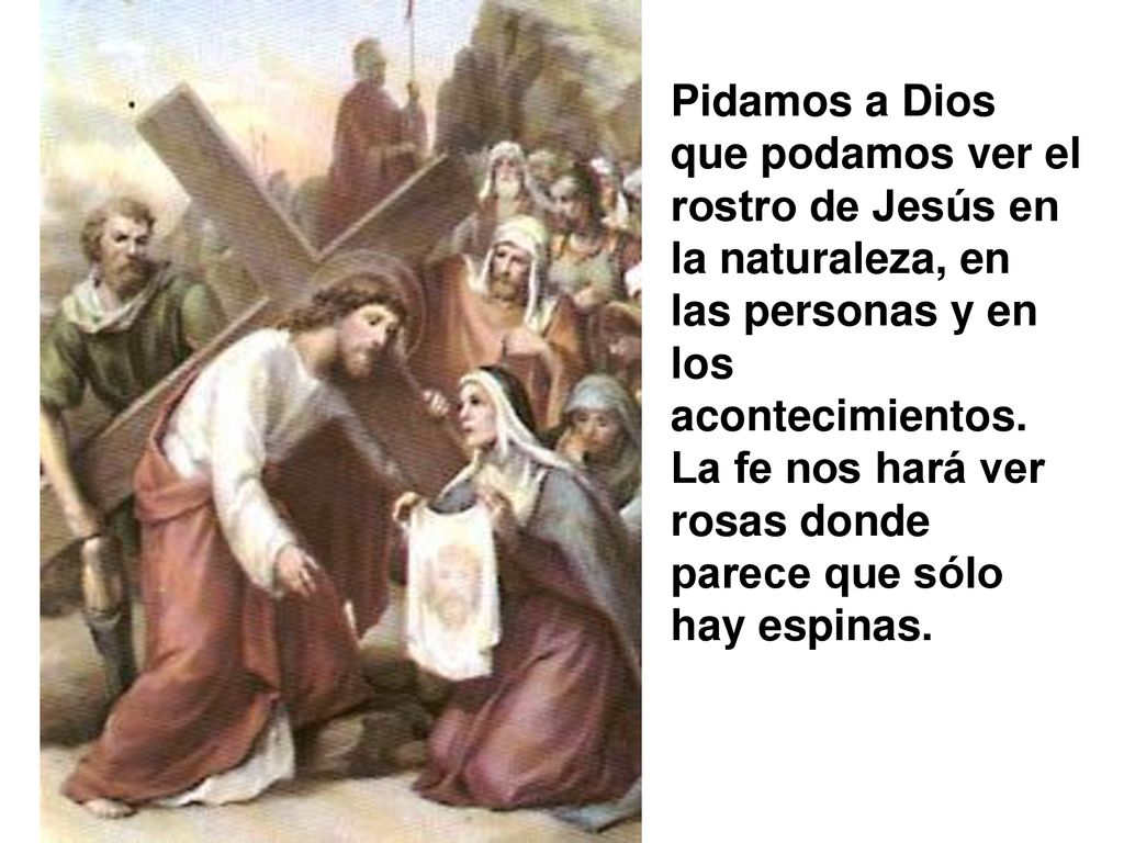 Pidamos a Dios que podamos ver el rostro de Jesús en la naturaleza, en las personas y en los acontecimientos.