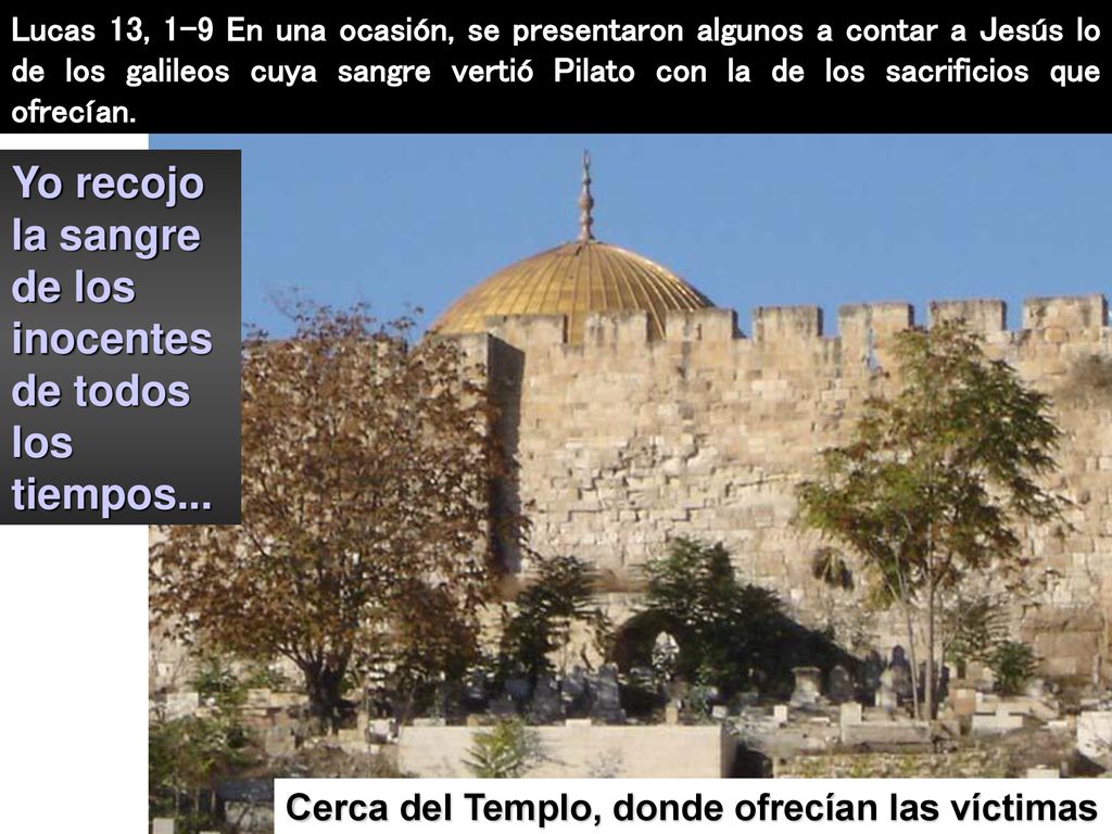 Yo recojo la sangre de los inocentes de todos los tiempos...