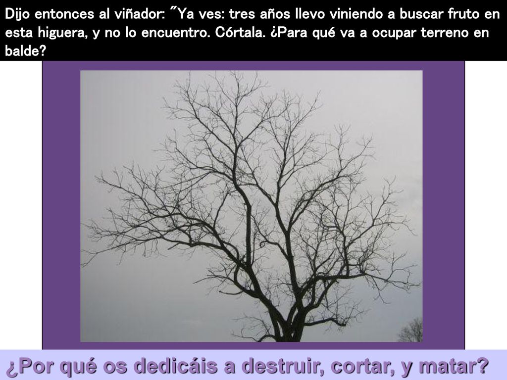 ¿Por qué os dedicáis a destruir, cortar, y matar